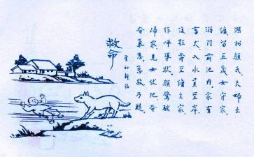 保护生态环境调查报告6篇
