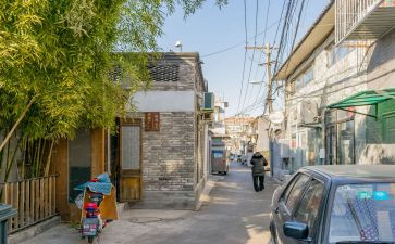 胡同将军的读后感7篇