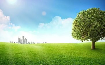 中班户外安全教育教案7篇