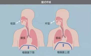 呼吸科护士长工作计划6篇