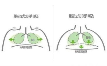 呼吸内科医生述职报告5篇