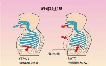 呼吸科出科自我鉴定8篇