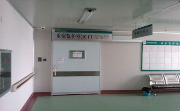 去icu工作总结6篇