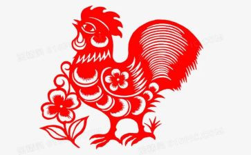 关于鸡的调查报告参考8篇