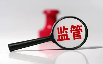 e网监管工作总结8篇