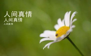 然真情流露作文最新7篇