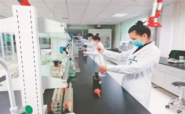 年终检验工作总结6篇