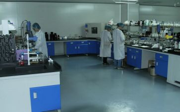 检验室的工作总结参考5篇