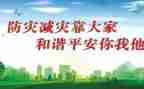 镇防灾减灾活动总结推荐7篇