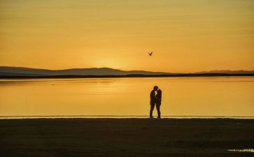 作文见证800字5篇