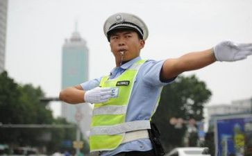 交警队2工作总结7篇