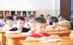 教学办的工作计划模板7篇