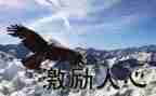公司激励的演讲稿5篇