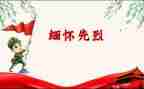 祭烈士墓作文7篇