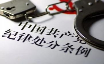 纪律处工作总结7篇