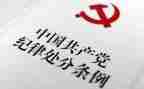 纪律师心得体会7篇