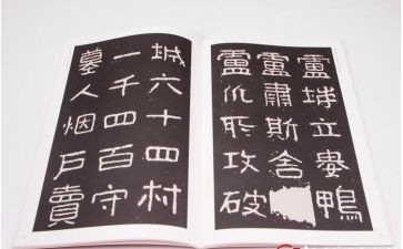 小学教师晋高级述职报告优秀5篇