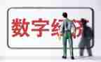 经济周工作总结最新8篇