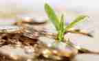 金融调查报告范文5篇