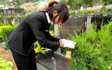 清明节祭扫演讲稿8篇