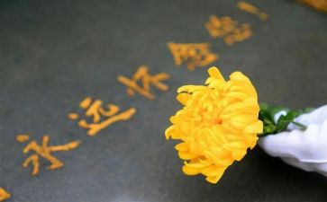 上祭扫心得体会7篇