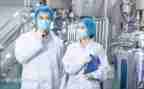 (高工)专业技术工作总结6篇