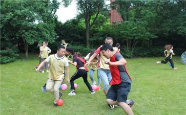 小学集体活动总结5篇