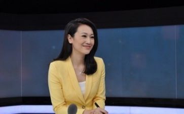 记者工作总结8篇