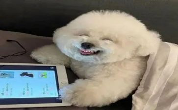 作文他开心了600字最新5篇