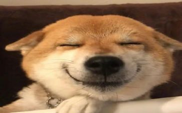 开开心心作文5篇