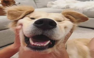 _我真开心作文6篇