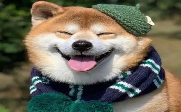 那次真开心作文7篇