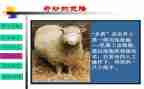 我被克隆了600字作文6篇