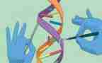 科学空气炮教案通用7篇