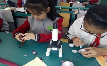 小学科学课学期工作计划6篇
