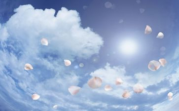 空气污染调查报告范文7篇