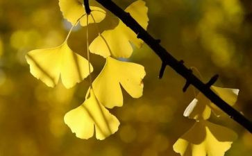 奋斗的苦作文优质8篇