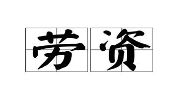 人劳资工作总结7篇
