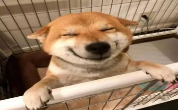 《生于忧患死于安乐》读后感优秀6篇