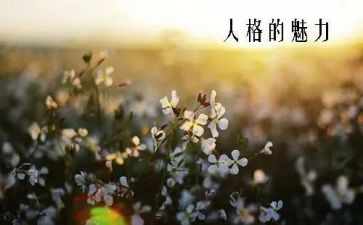 书的魅力作文模板7篇