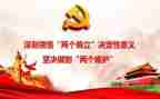 两个维护两个确立心得体会7篇