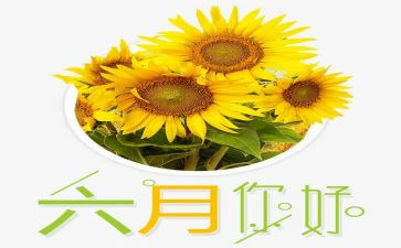 销售六月份工作总结8篇