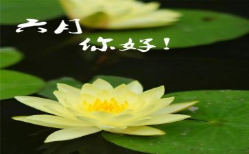 幼儿园六月份的工作总结范文7篇
