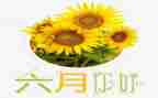销售六月份工作总结8篇