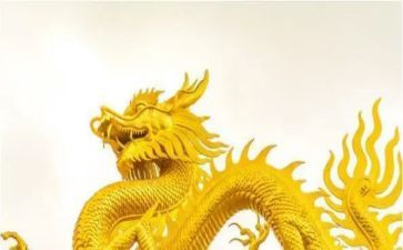 赛龙舟活动总结8篇