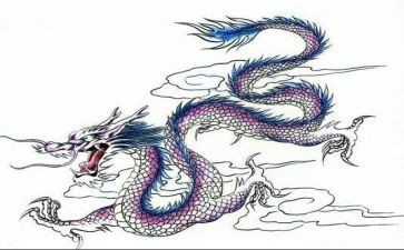 屠龙族读后感8篇