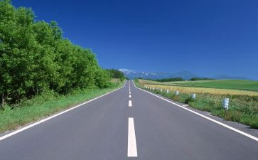 路队比赛作文300字最新5篇