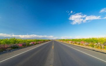 观《路》心得体会优秀5篇