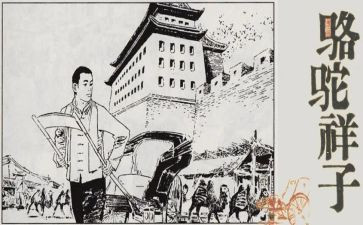 骆驼祥子卖骆驼心得体会5篇
