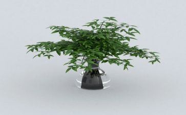 写绿地的作文6篇